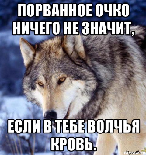 порванное очко ничего не значит, если в тебе волчья кровь.