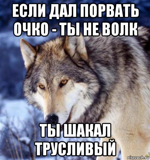 если дал порвать очко - ты не волк ты шакал трусливый