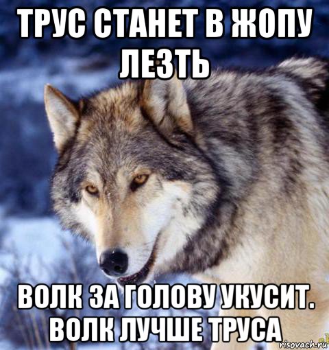 трус станет в жопу лезть волк за голову укусит. волк лучше труса