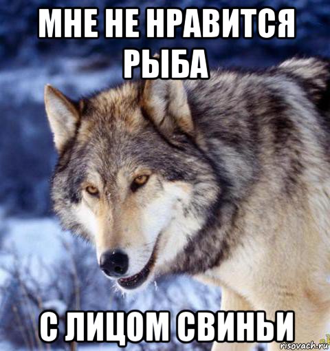 мне не нравится рыба с лицом свиньи