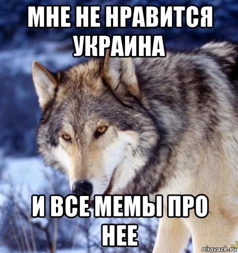 мне не нравится украина и все мемы про нее