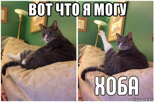 вот что я могу , Комикс Кот Хоба