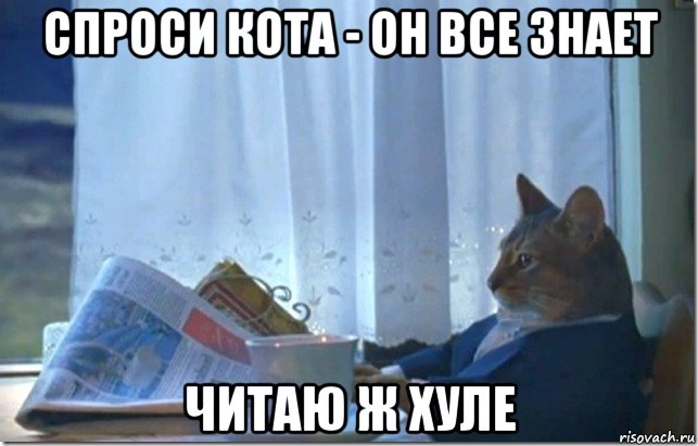 спроси кота - он все знает читаю ж хуле