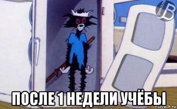  после 1 недели учёбы, Мем Кот том