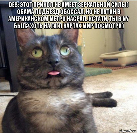 des: этот прикол не имеет зеркальной силы) обама подъезд обоссал, но не путин в американском метро насрал. кстати, ты в ny был? хоть на гугл картах мир посмотри) , Мем   Кот завис