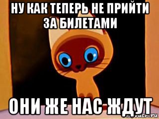 ну как теперь не прийти за билетами они же нас ждут, Мем котенок гав