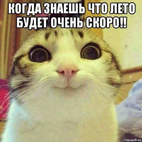 когда знаешь что лето будет очень скоро!! , Мем       Котяка-улыбака