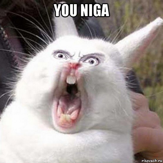 you niga 