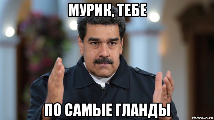 мурик, тебе по самые гланды