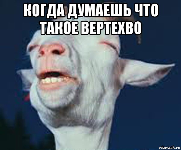 когда думаешь что такое вертехво 