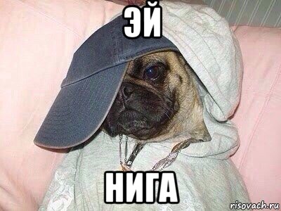 эй нига