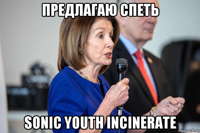 предлагаю спеть sonic youth incinerate