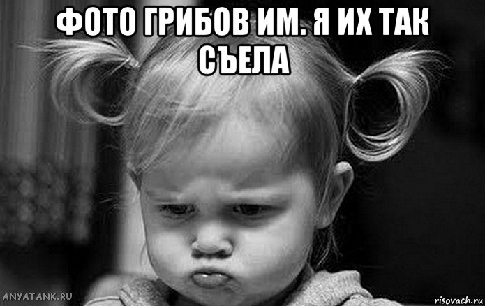 фото грибов им. я их так съела 