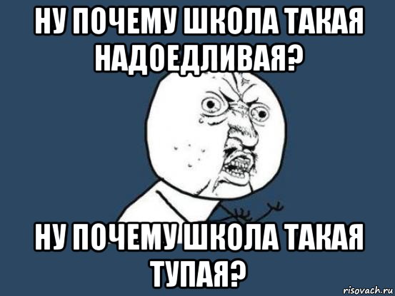 ну почему школа такая надоедливая? ну почему школа такая тупая?, Мем Ну почему