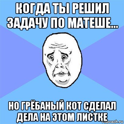 когда ты решил задачу по матеше... но грёбаный кот сделал дела на этом листке, Мем Okay face