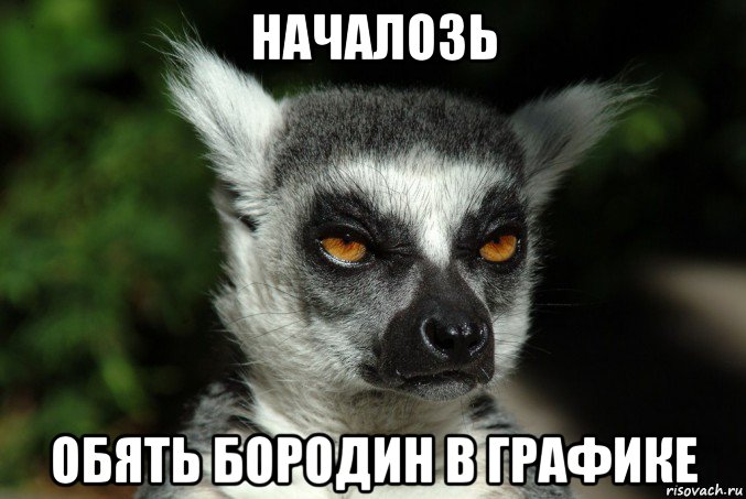 началозь обять бородин в графике