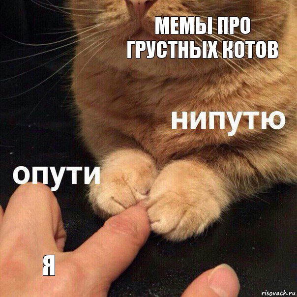 Мемы про грустных котов я, Комикс Опути нипутю