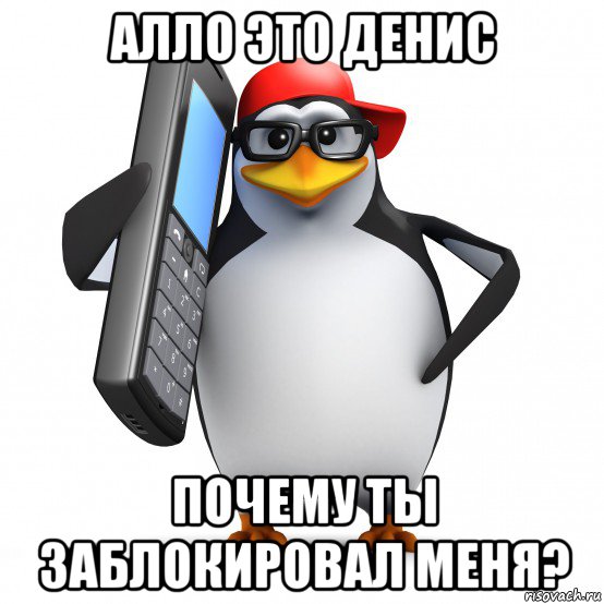 алло это денис почему ты заблокировал меня?, Мем   Пингвин звонит