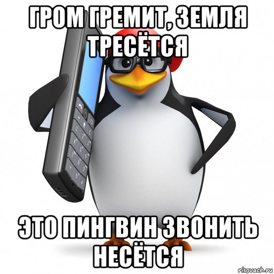 гром гремит, земля тресётся это пингвин звонить несётся, Мем   Пингвин звонит