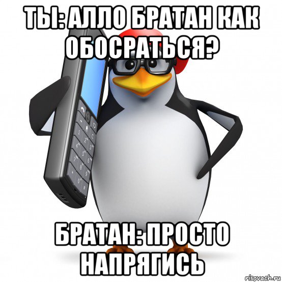 ты: алло братан как обосраться? братан: просто напрягись, Мем   Пингвин звонит