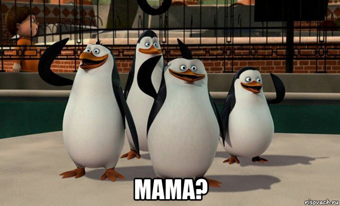  мама?, Мем  пингвины Мадагаскара