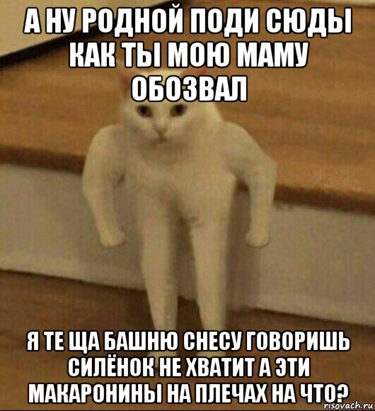 а ну родной поди сюды как ты мою маму обозвал я те ща башню снесу говоришь силёнок не хватит а эти макаронины на плечах на что?, Мем  Полукот