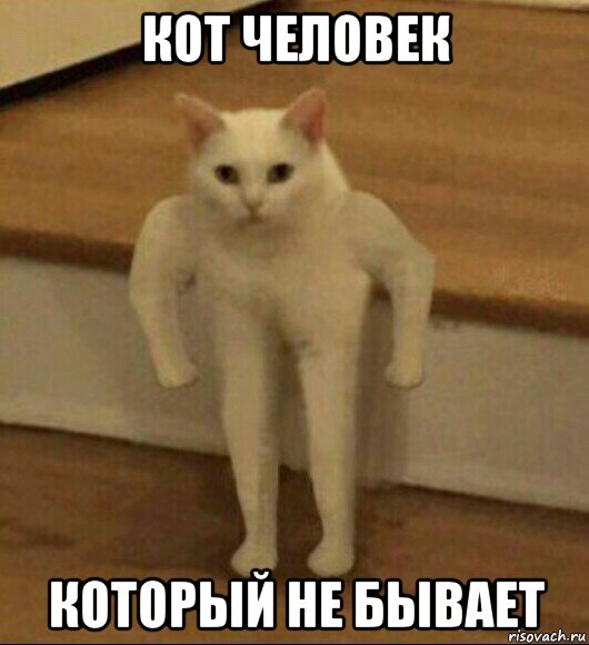 кот человек который не бывает, Мем  Полукот