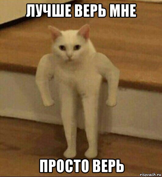 лучше верь мне просто верь, Мем  Полукот