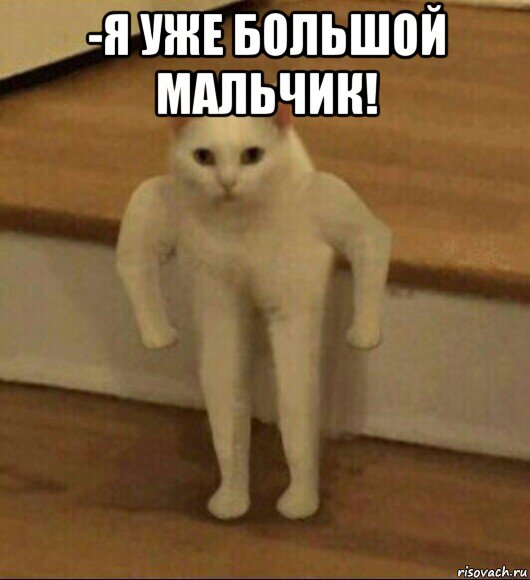 -я уже большой мальчик! , Мем  Полукот