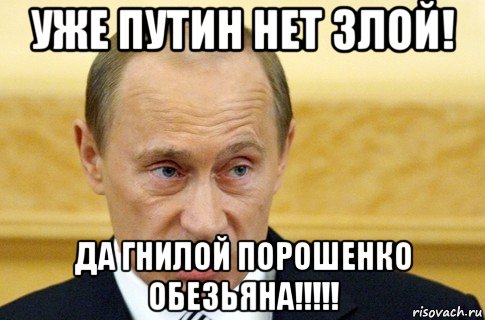 уже путин нет злой! да гнилой порошенко обезьяна!!!!!, Мем путин