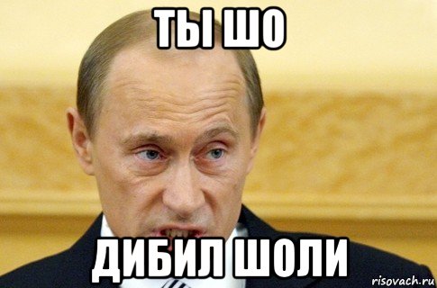 ты шо дибил шоли, Мем путин