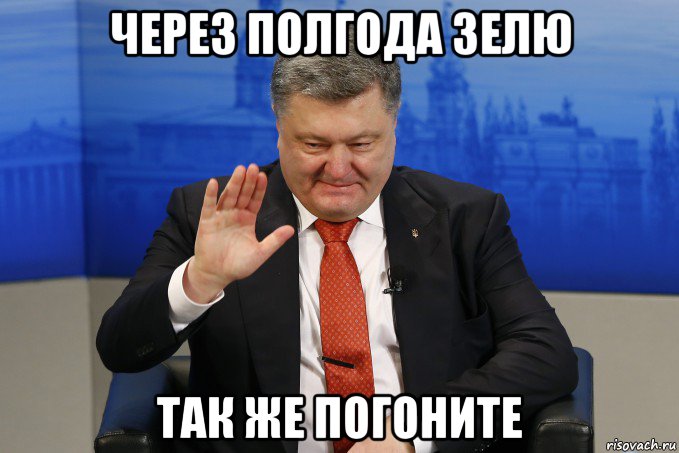 через полгода зелю так же погоните