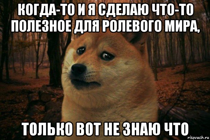 когда-то и я сделаю что-то полезное для ролевого мира, только вот не знаю что, Мем SAD DOGE