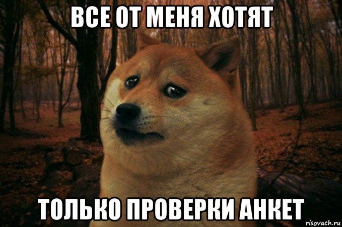 все от меня хотят только проверки анкет, Мем SAD DOGE