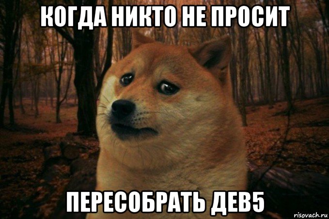 когда никто не просит пересобрать дев5, Мем SAD DOGE