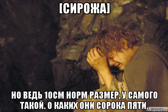 [сирожа] но ведь 10см норм размер, у самого такой. о каких они сорока пяти., Мем сэм рыдает