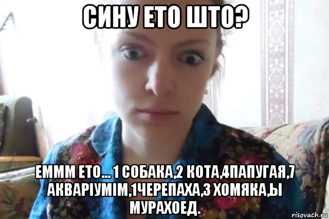 сину ето што? еммм ето... 1 собака,2 кота,4папугая,7 акваріумім,1черепаха,3 хомяка,ы мурахоед., Мем    Скайп файлообменник