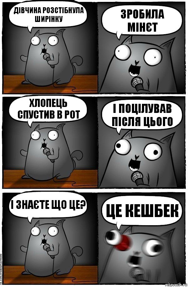 Дівчина розстібнула ширінку Зробила мінєт Хлопець спустив в рот І поцілував після цього І знаєте що це? Це Кешбек, Комикс  Стендап-кот