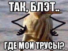так, блэт.. где мои трусы?