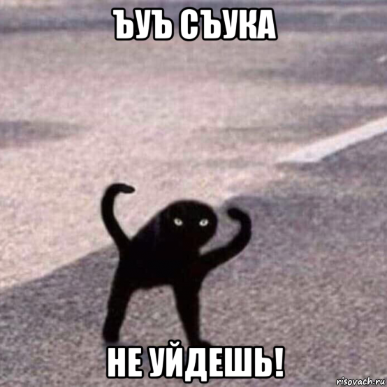 ъуъ съука не уйдешь!