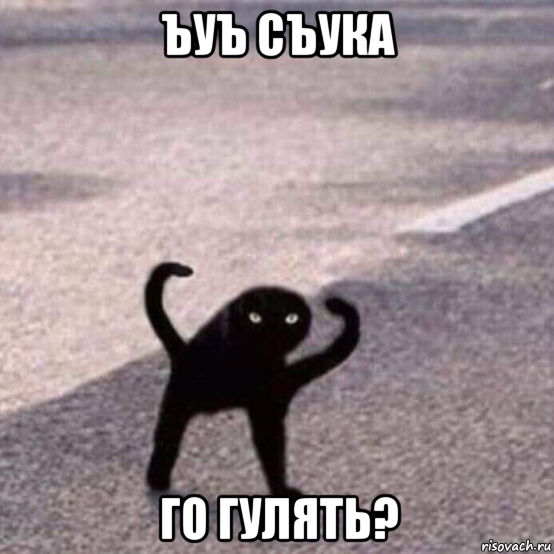 ъуъ съука го гулять?