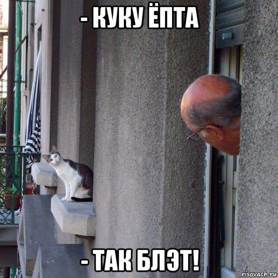- куку ёпта - так блэт!, Мем Удивлённый кот