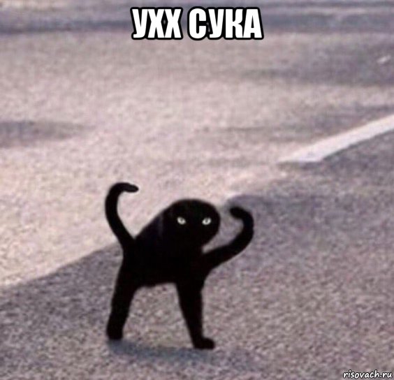 ухх сука , Мем Ухх сука
