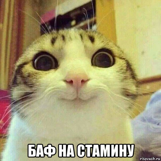  баф на стамину