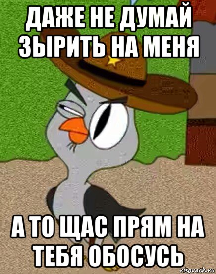 даже не думай зырить на меня а то щас прям на тебя обосусь, Мем    Упоротая сова