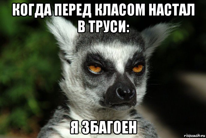 когда перед класом настал в труси: я збагоен, Мем   Я збагоен