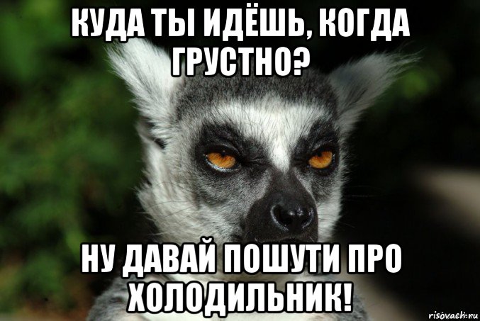 куда ты идёшь, когда грустно? ну давай пошути про холодильник!, Мем   Я збагоен