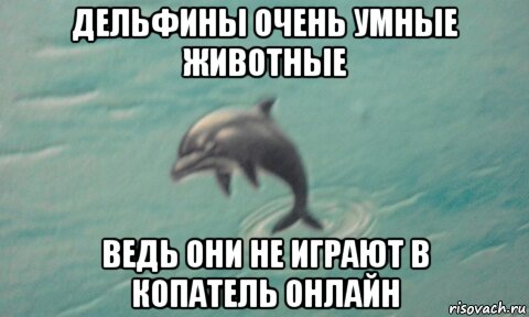 дельфины очень умные животные ведь они не играют в копатель онлайн