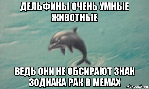 дельфины очень умные животные ведь они не обсирают знак зодиака рак в мемах