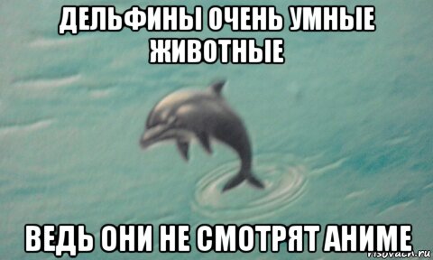 дельфины очень умные животные ведь они не смотрят аниме